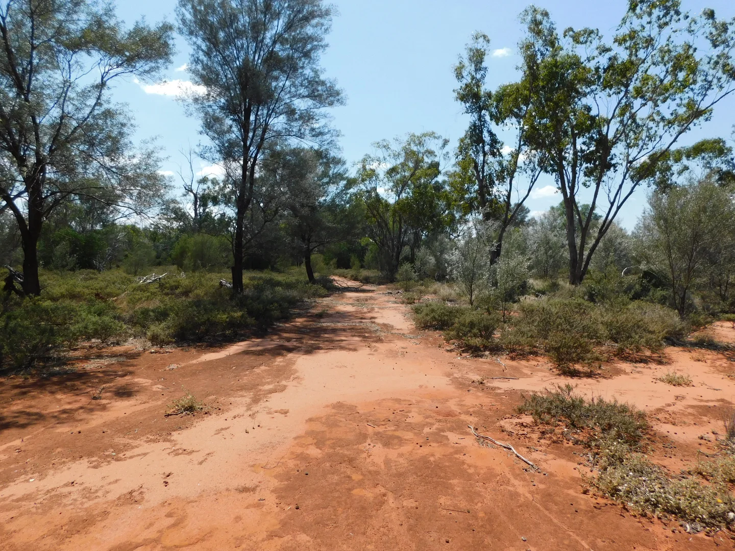 Additional image 6 of Lot 5 Mitchell Highway, Charleville QLD 4470