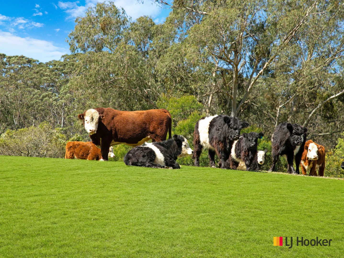 Additional image 33 of 3032 The River Road, Currowan NSW 2536