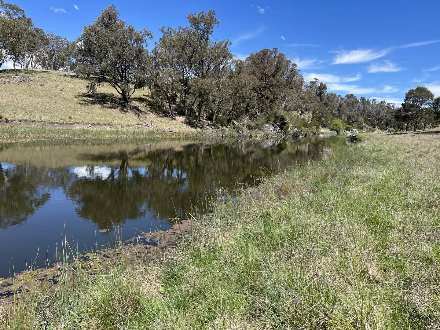 860 Bullock Mountain Road, Yarrowford NSW 2370