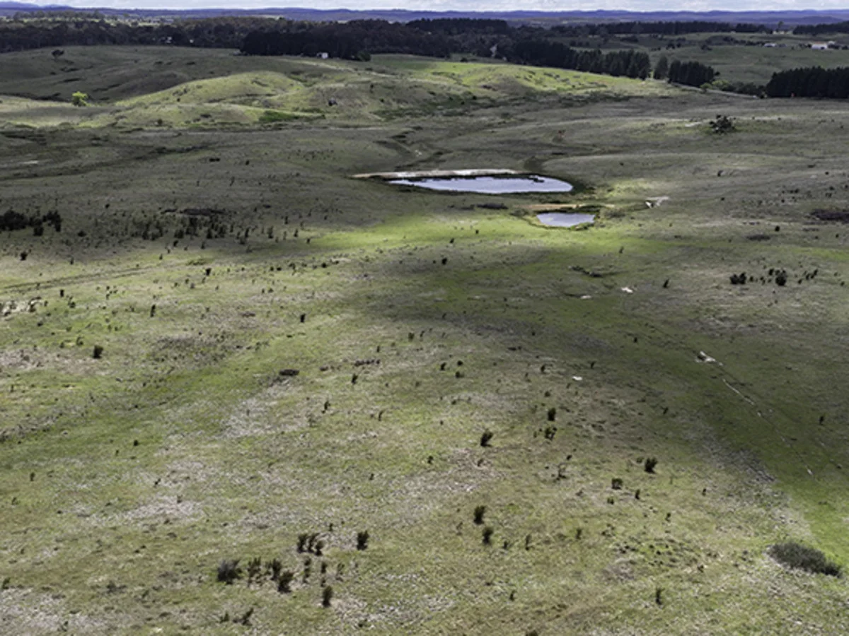 Additional image 15 of 3141 Oallen Ford Road, Windellama NSW 2580