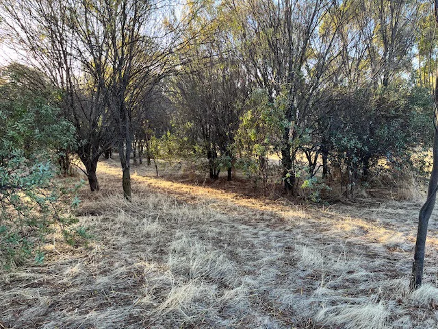 Additional image 18 of 964 Dobaderry Road, Beverley WA 6304