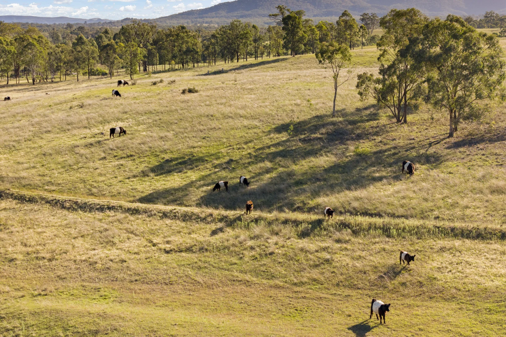 Additional image 28 of 105 Huntingdale Road, Glen Alice NSW 2849