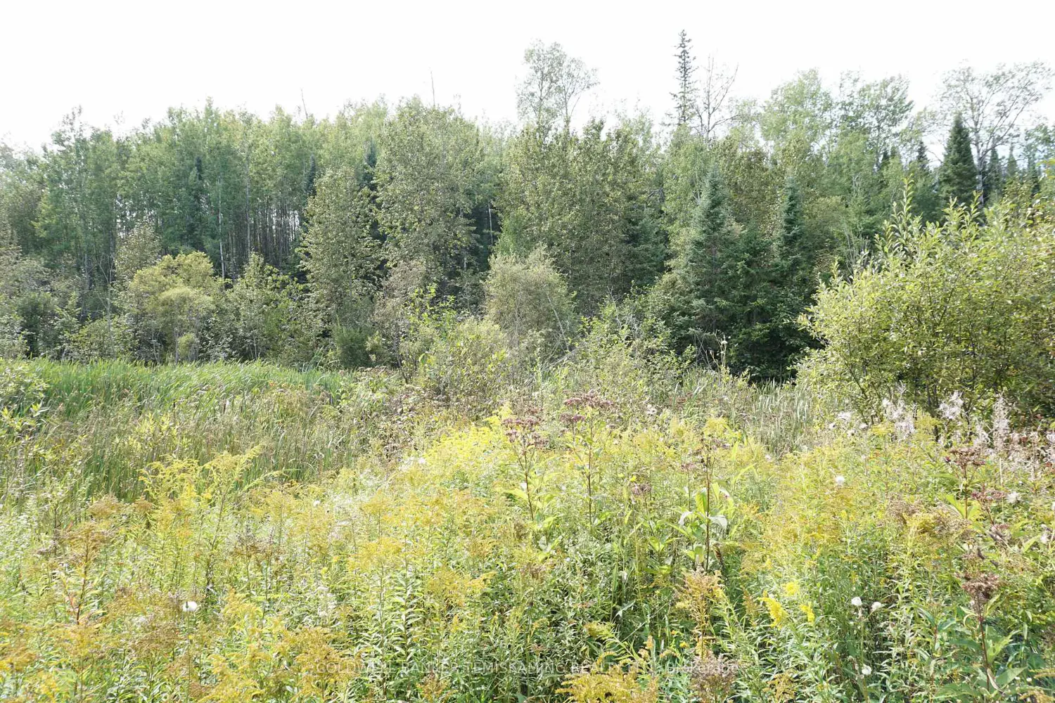 Additional image 16 of Lot 1 Campbell's Road