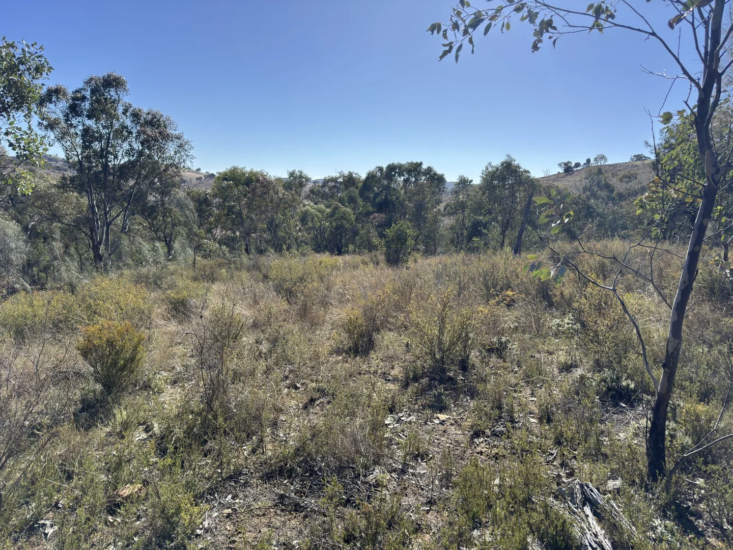 Additional image 8 of 206 Roberts Road, Mudgee NSW 2850