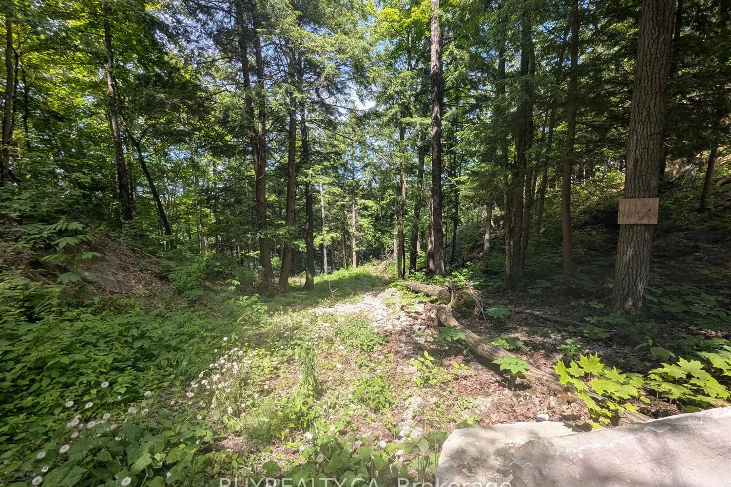 Additional image 2 of 2318 Sherwood Forest Lane