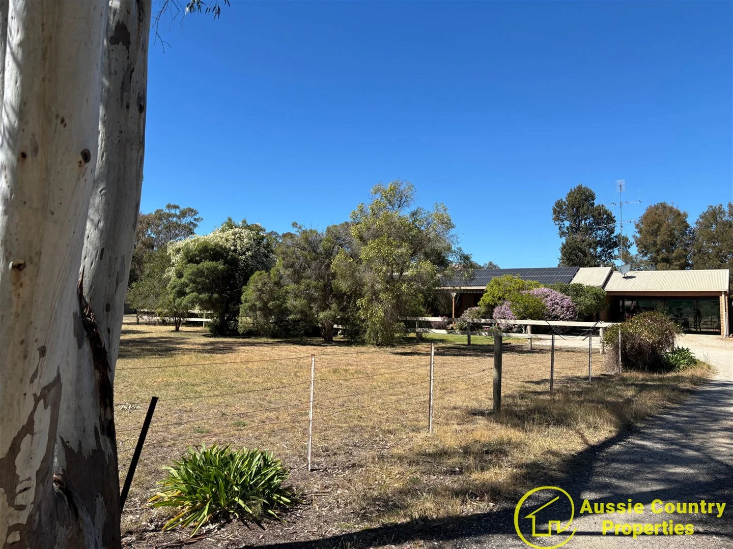 Additional image 6 of 45 Nangunia Street, Berrigan NSW 2712