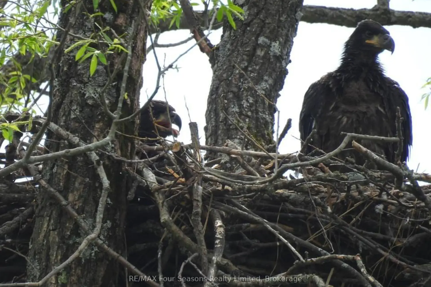 Additional image 19 of 59 King Street 22