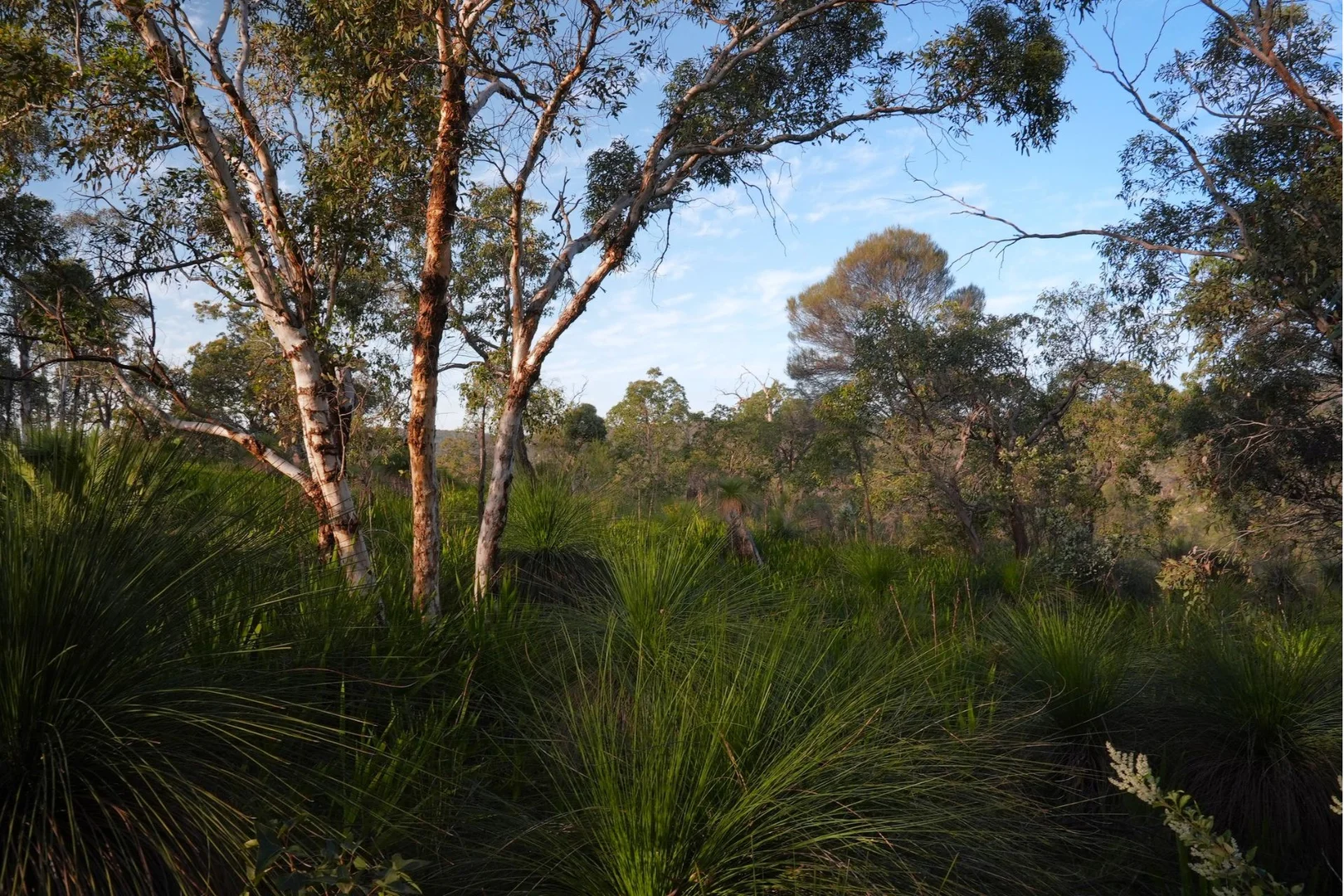 Additional image 20 of 245 Pechey Road, Swan View WA 6056