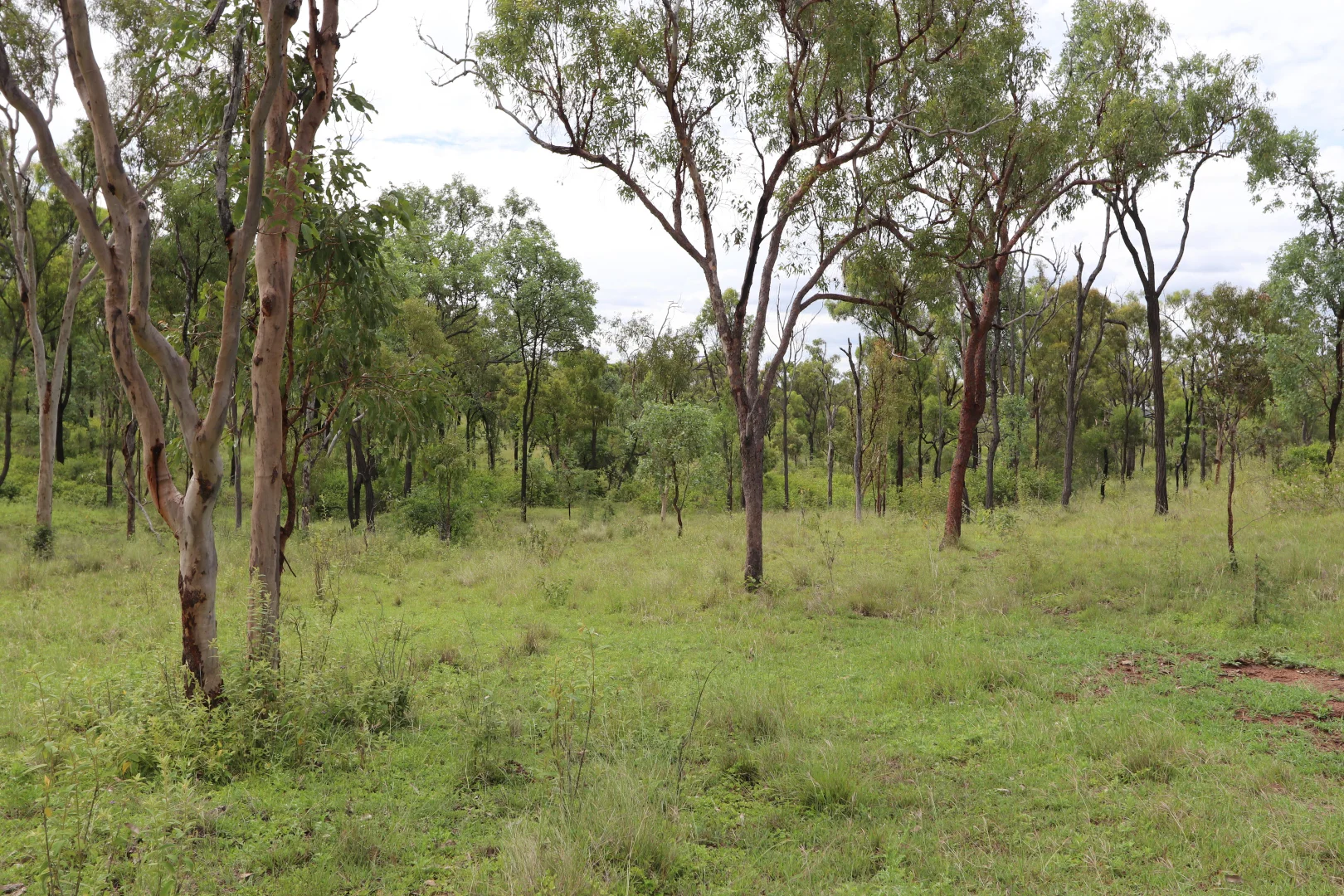 Additional image 7 of 0 Pipeline Road, Nine Mile QLD 4702