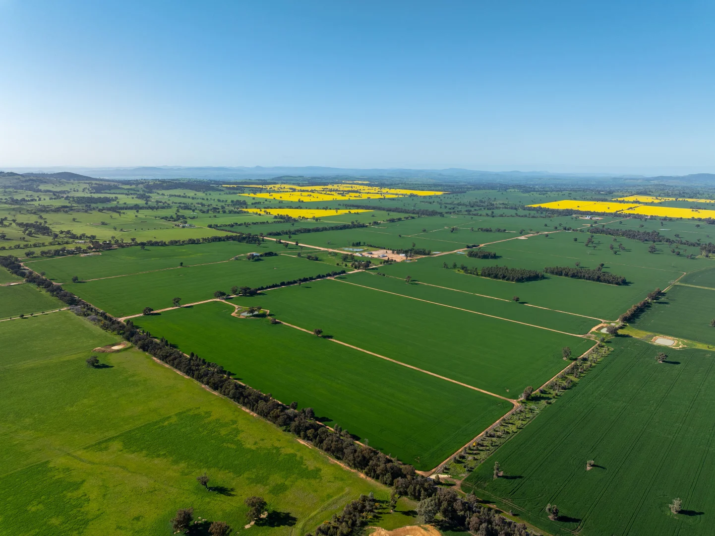 Additional image 5 of 484 Merri Meric Road, Henty NSW 2658