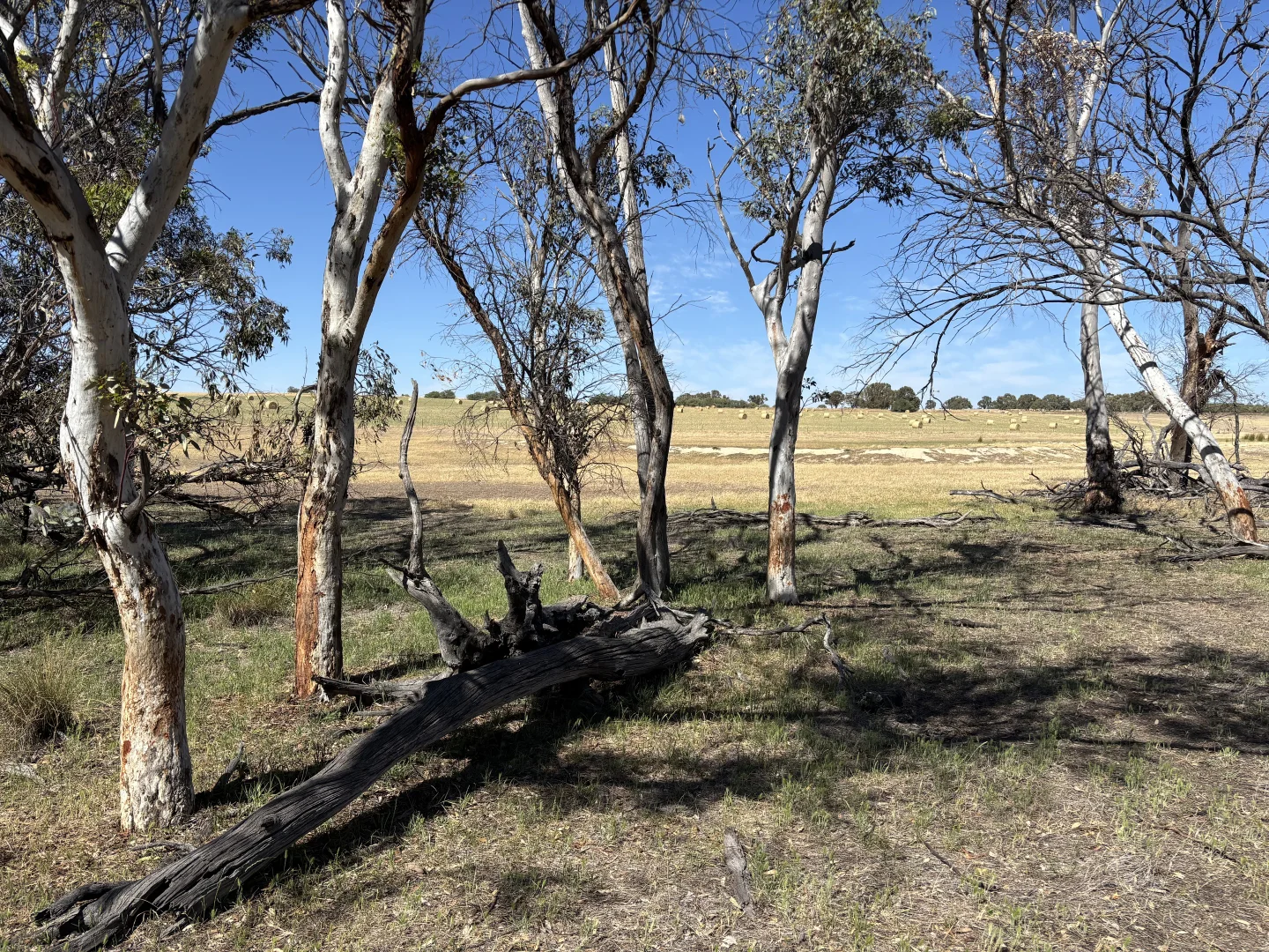 Additional image 14 of . 'Cobbers Soak', Quairading WA 6383