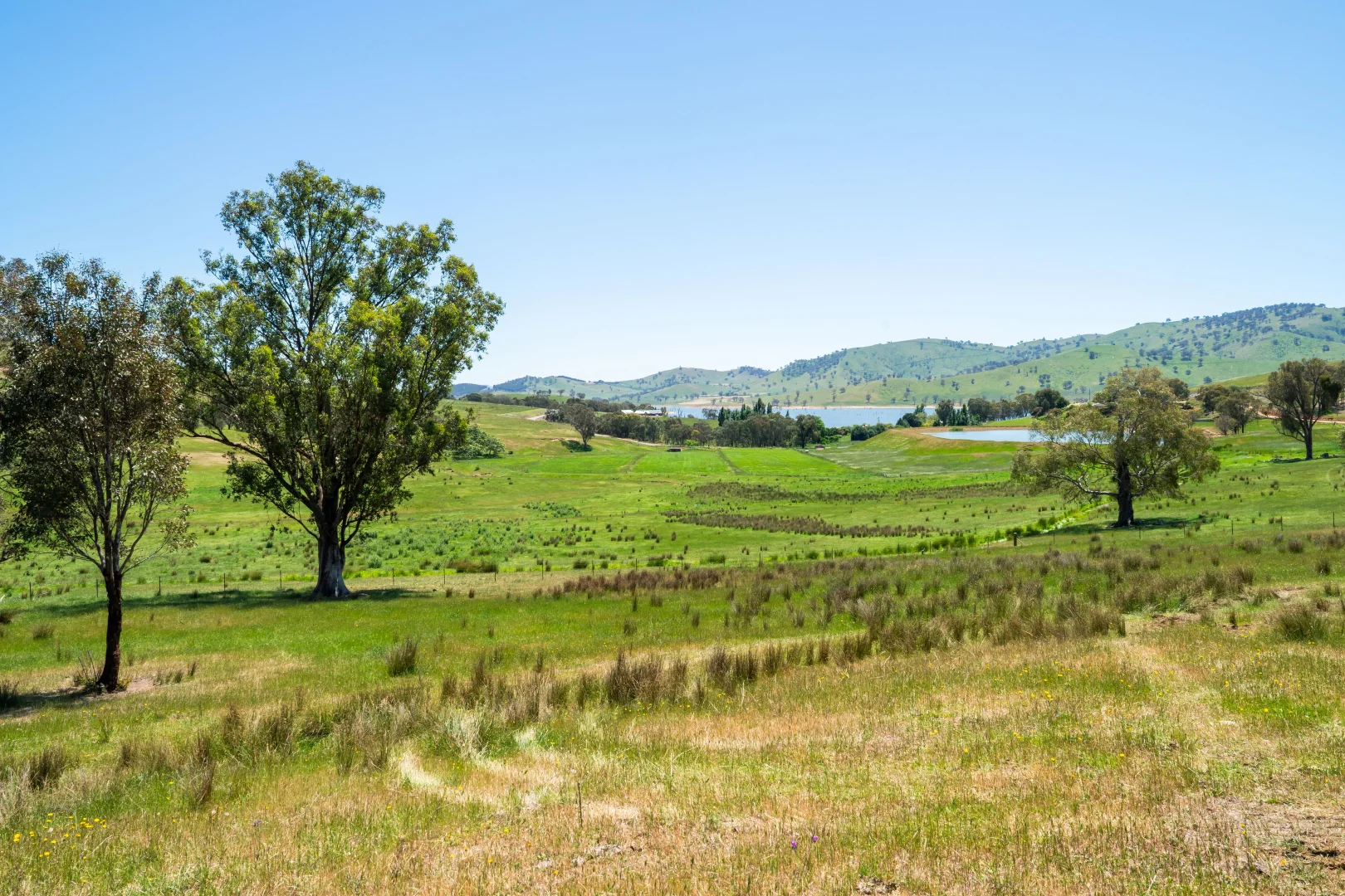 Additional image 8 of Vincents Road, Talgarno VIC 3691