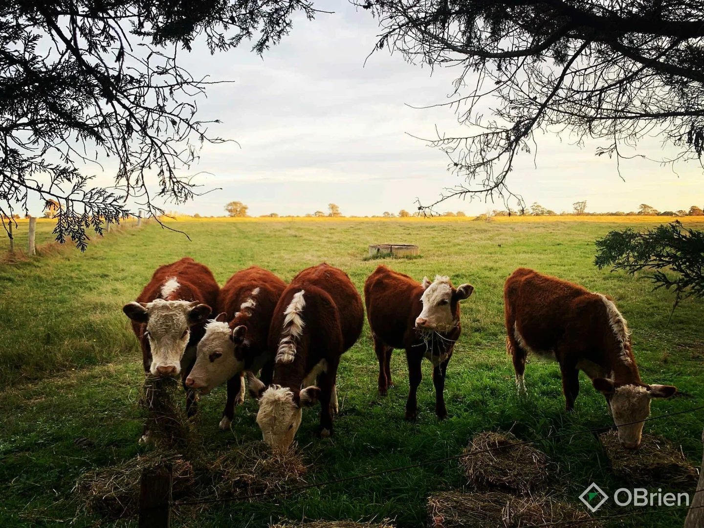 Additional image 35 of 115 Fernbank-Lindenow South Road, Lindenow South VIC 3875