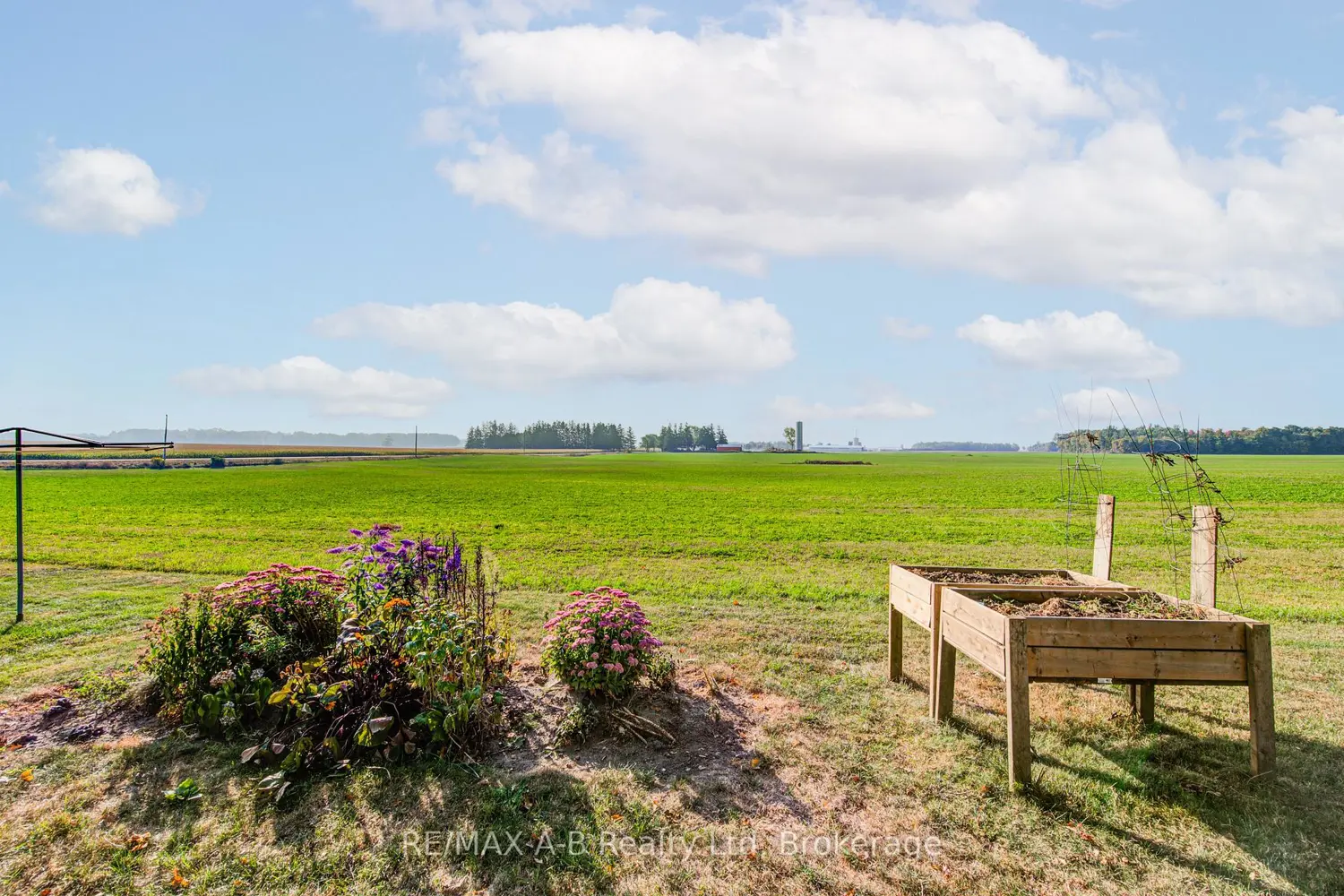 Additional image 9 of 316489 31St Line 959