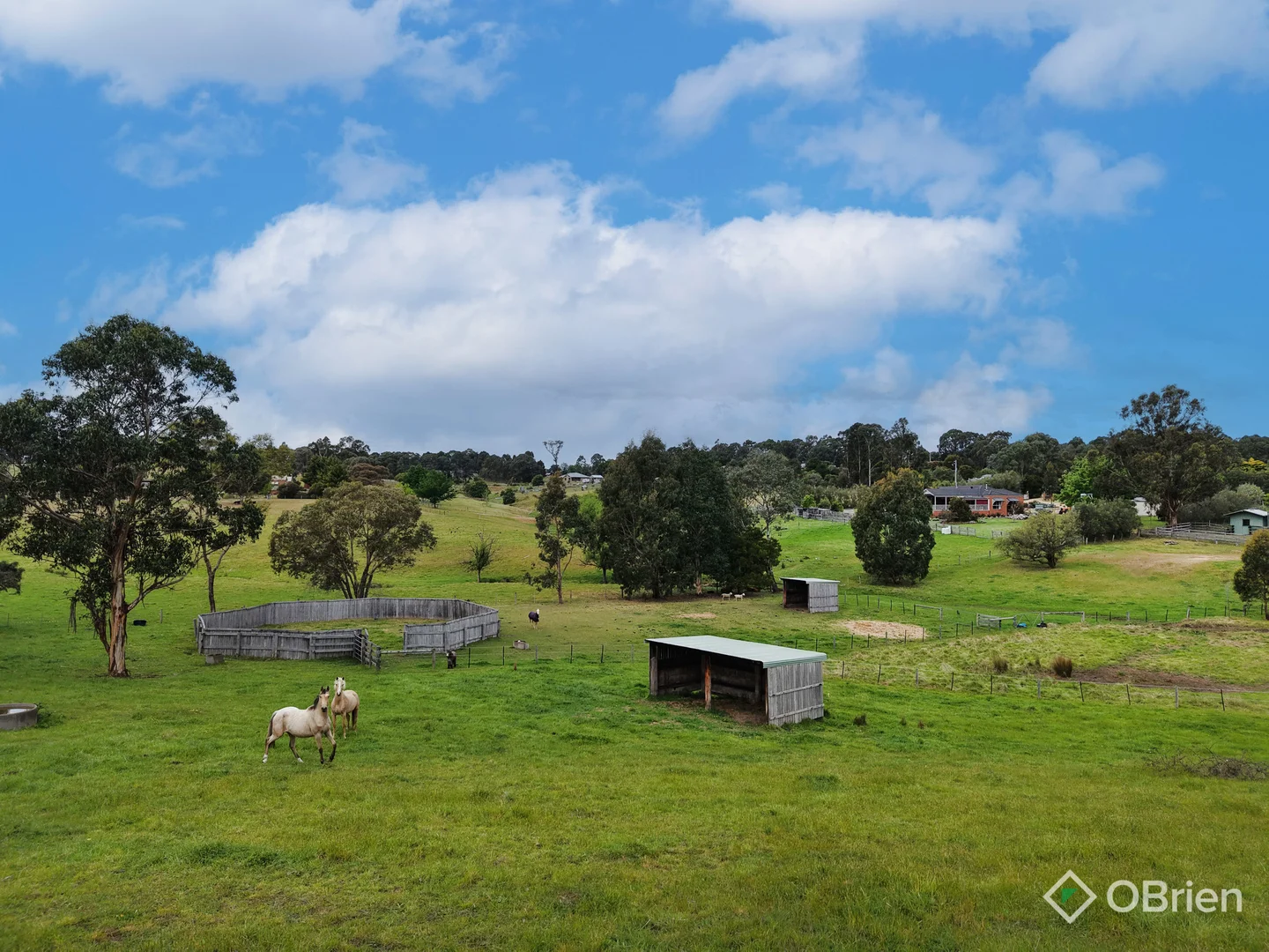 Additional image 27 of 50 Orrs Road, Lucknow VIC 3875