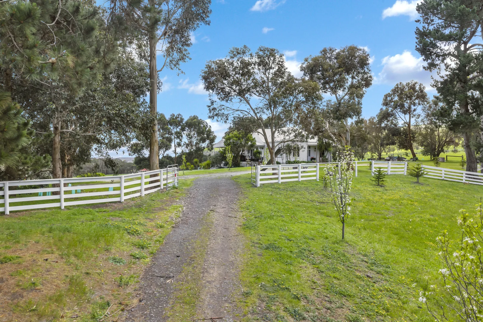 Additional image 26 of 125 Trew Road, Woolamai VIC 3995
