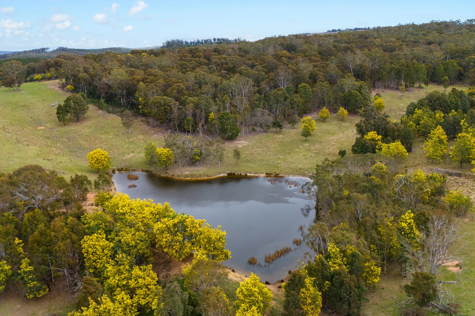 Additional image 30 of 171 Big Flat Road, Bombala NSW 2632