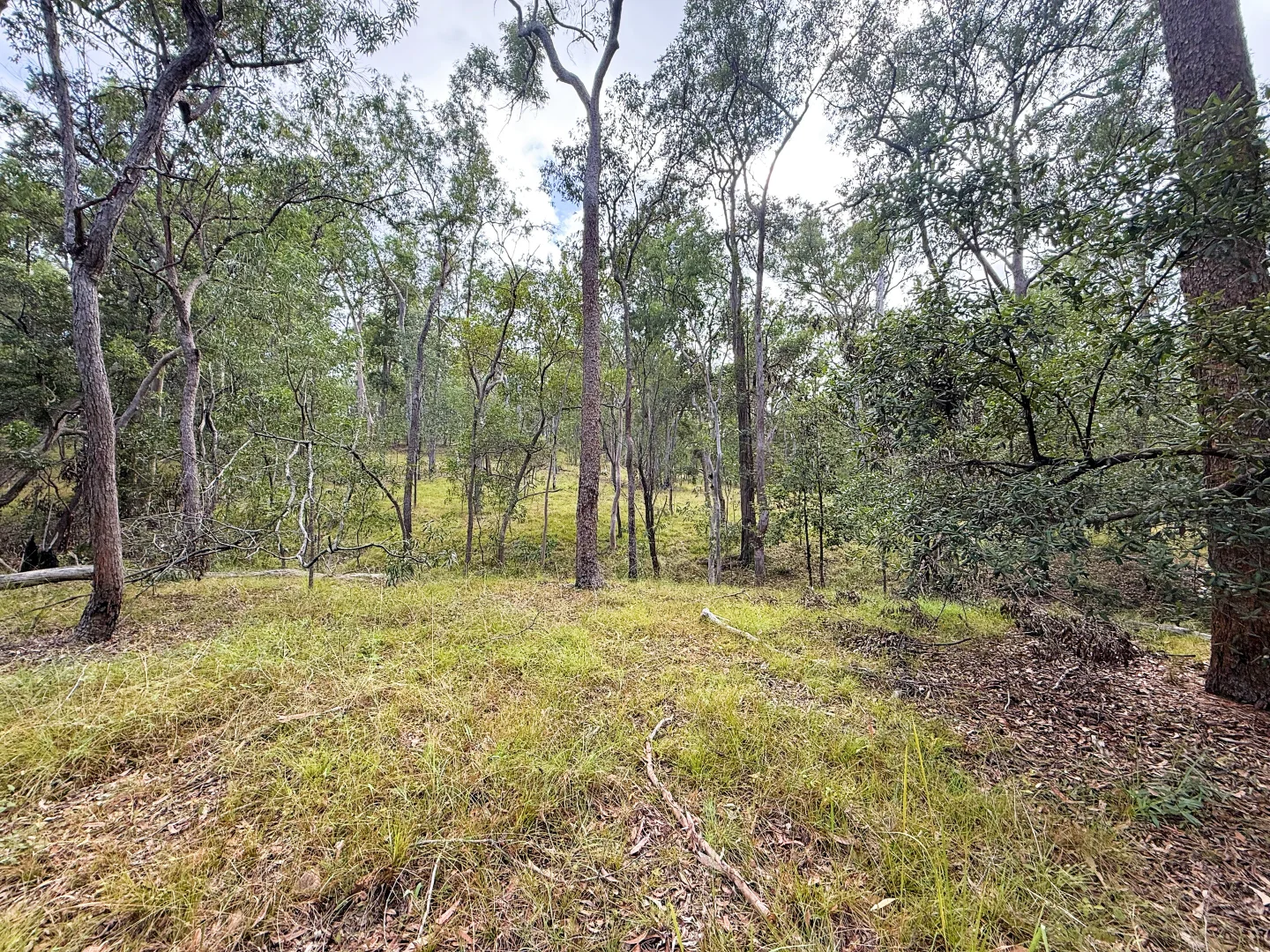 Additional image 11 of Lot 10/931 Nearum Road, Nearum QLD 4671