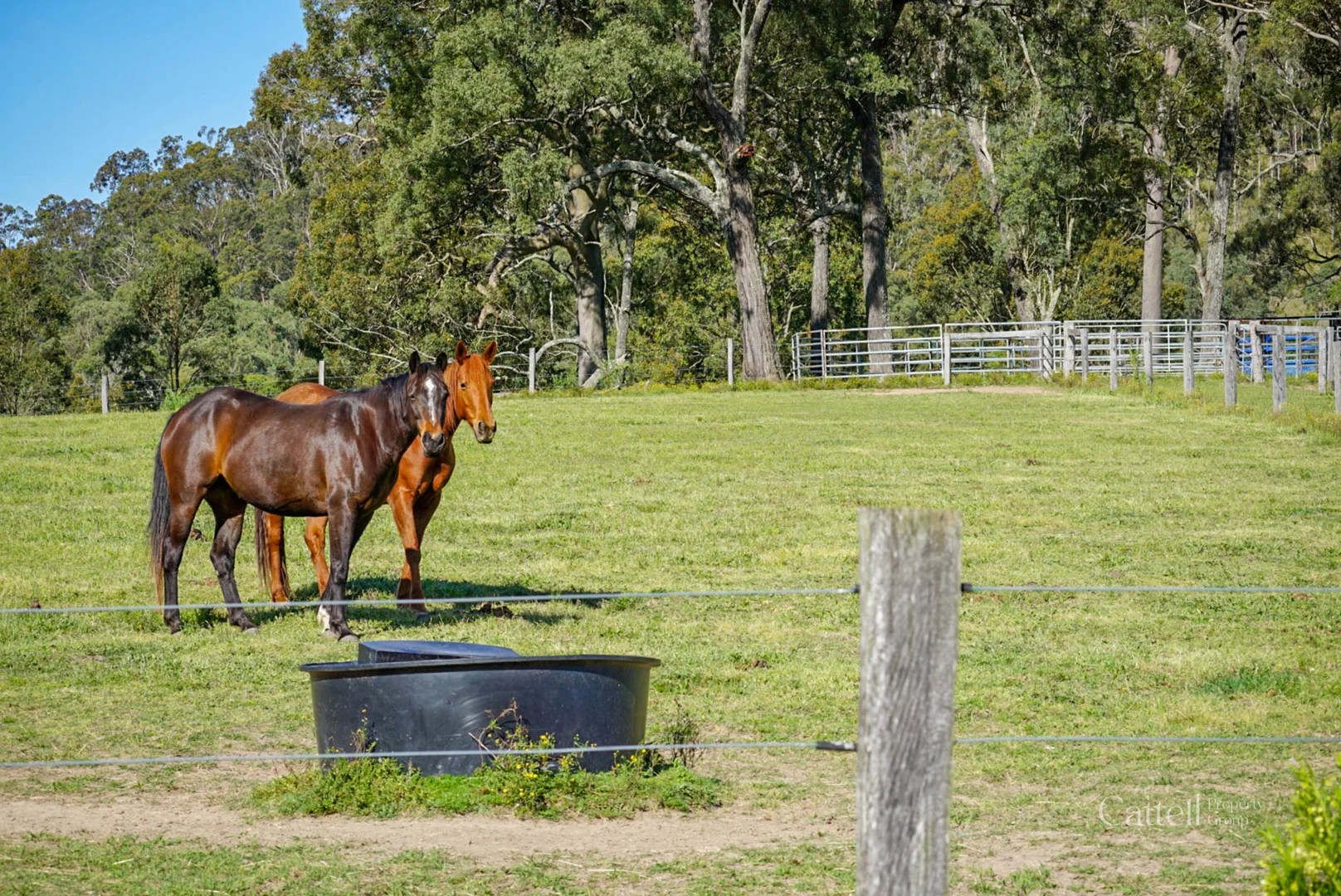 Additional image 4 of 60 Blue Bonnett Road, Lambs Valley NSW 2335