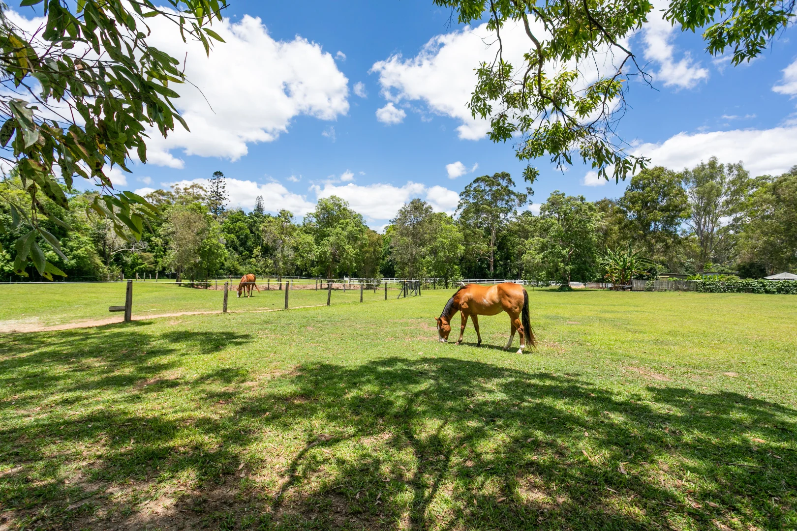 Additional image 17 of 35 Lawnville Road, Cooroy QLD 4563
