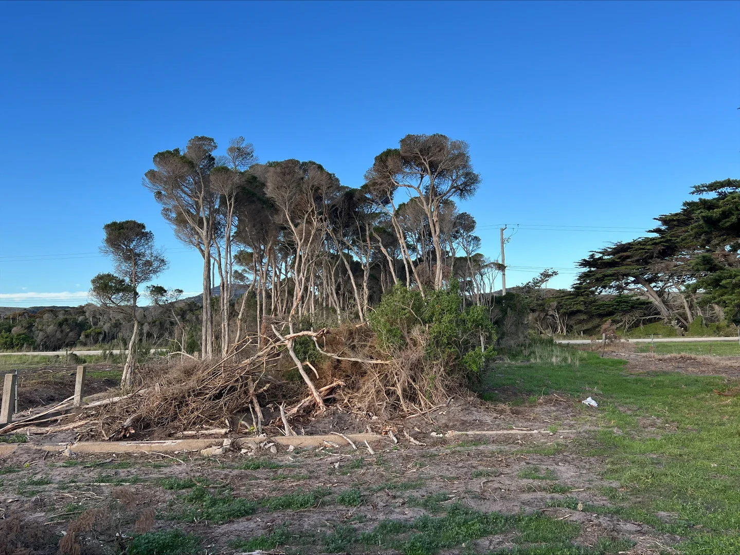 Additional image 16 of . Butter Factory Road, Whitemark TAS 7255