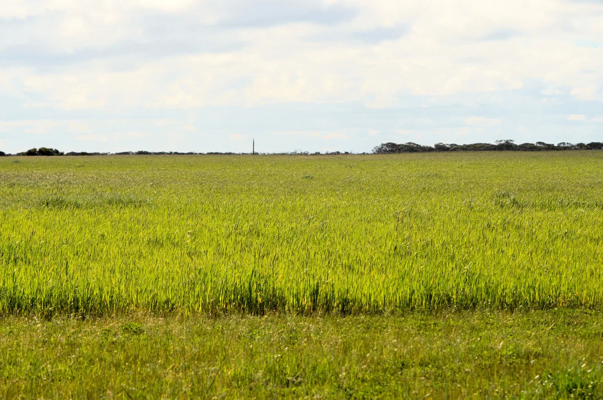 Additional image 8 of Lot 1208 Borden-Bremer Bay Road, Bremer Bay WA 6338