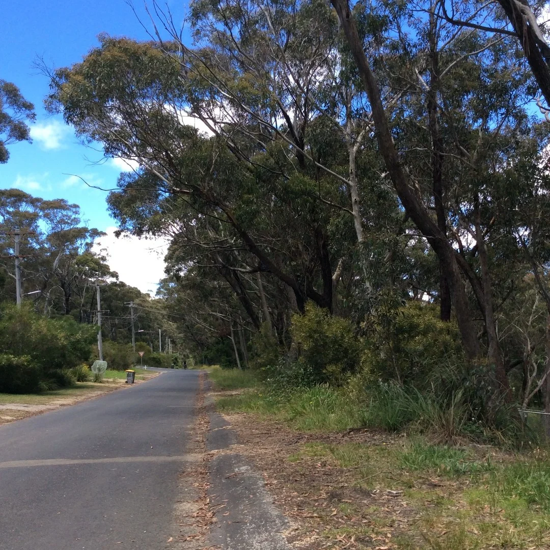 Lot 10/44 Godson Avenue, Blackheath NSW 2785