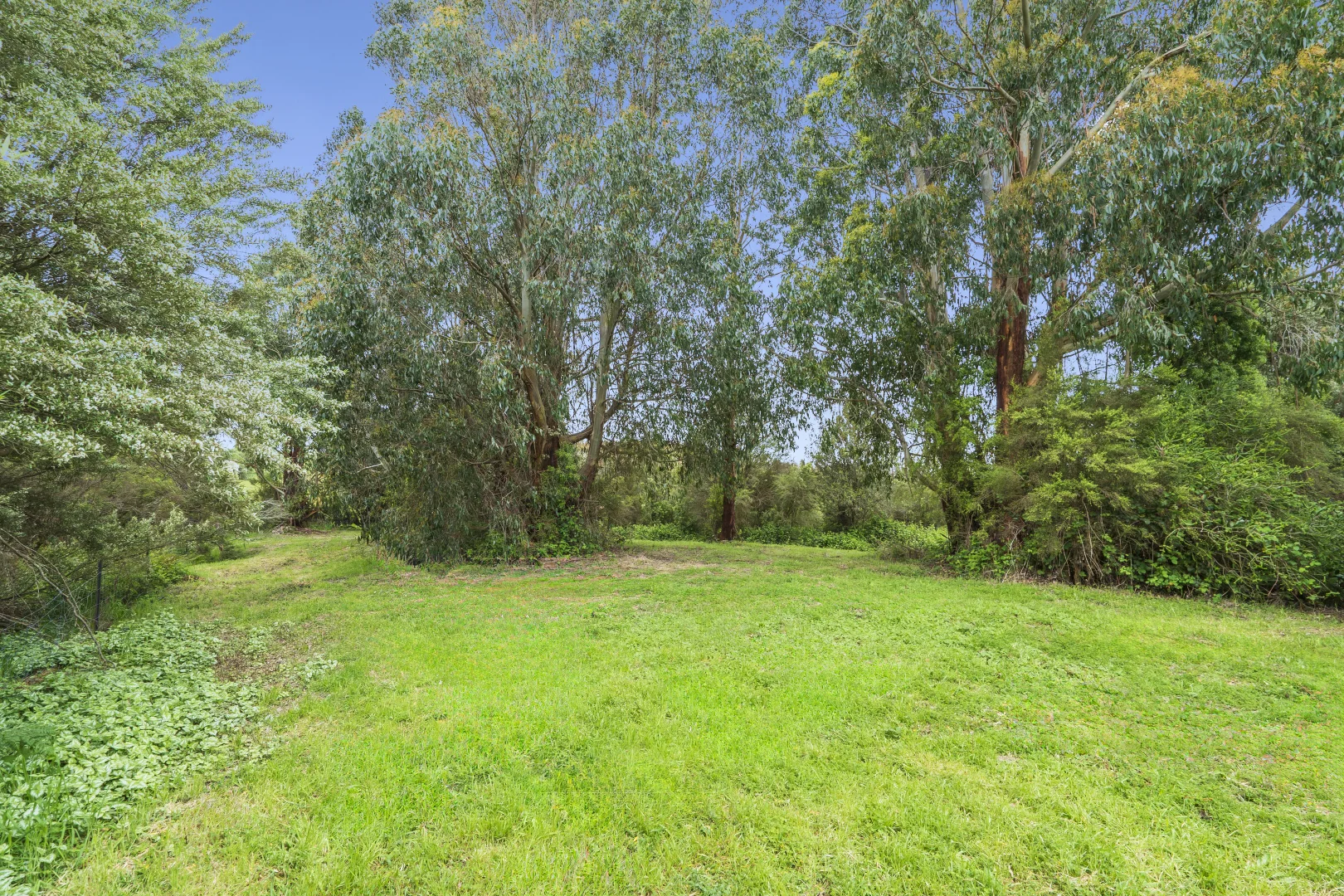 Additional image 8 of 170 Blue Johanna Road, Johanna VIC 3238