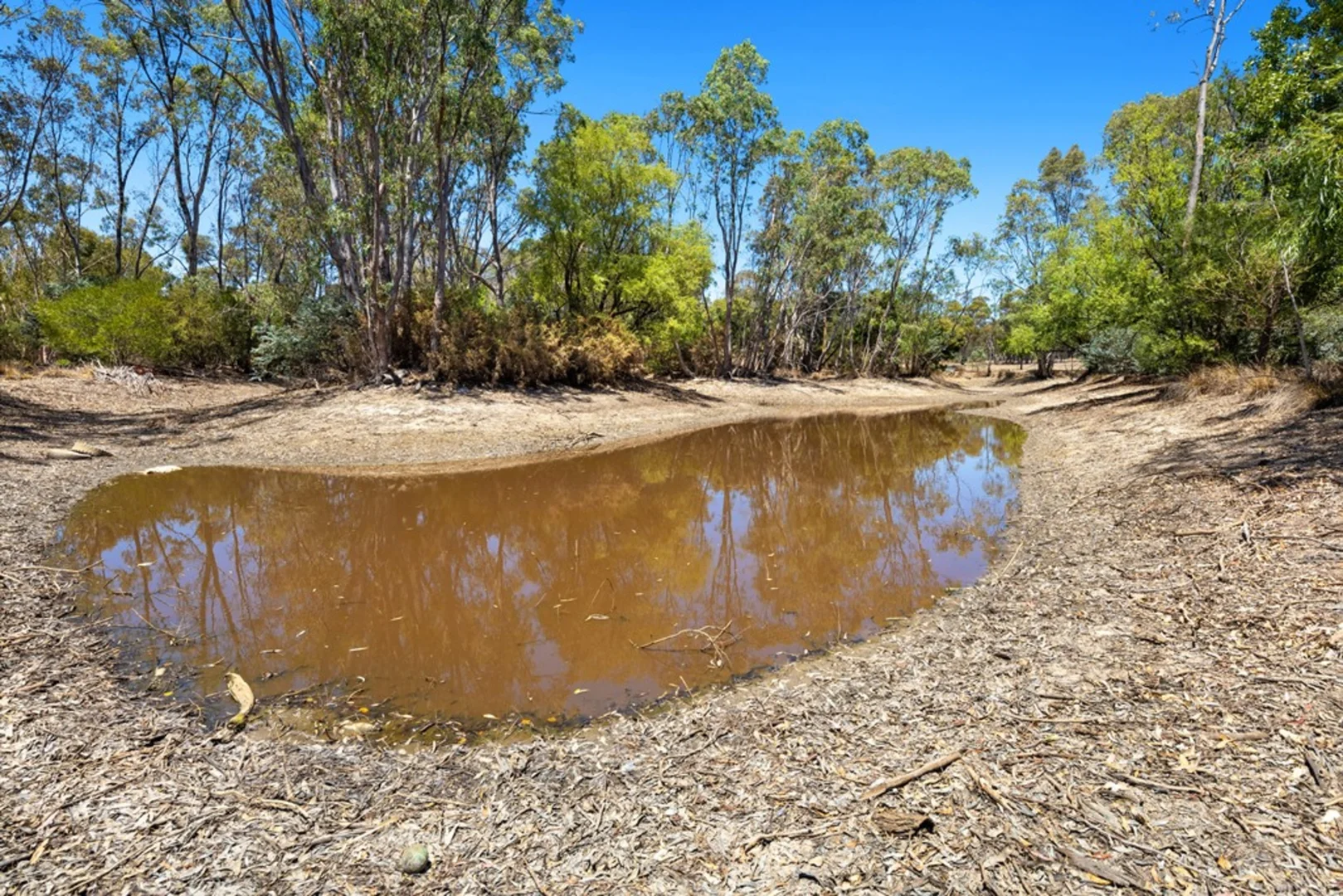 Additional image 13 of 745 Lillicur Road, Lillicur VIC 3371