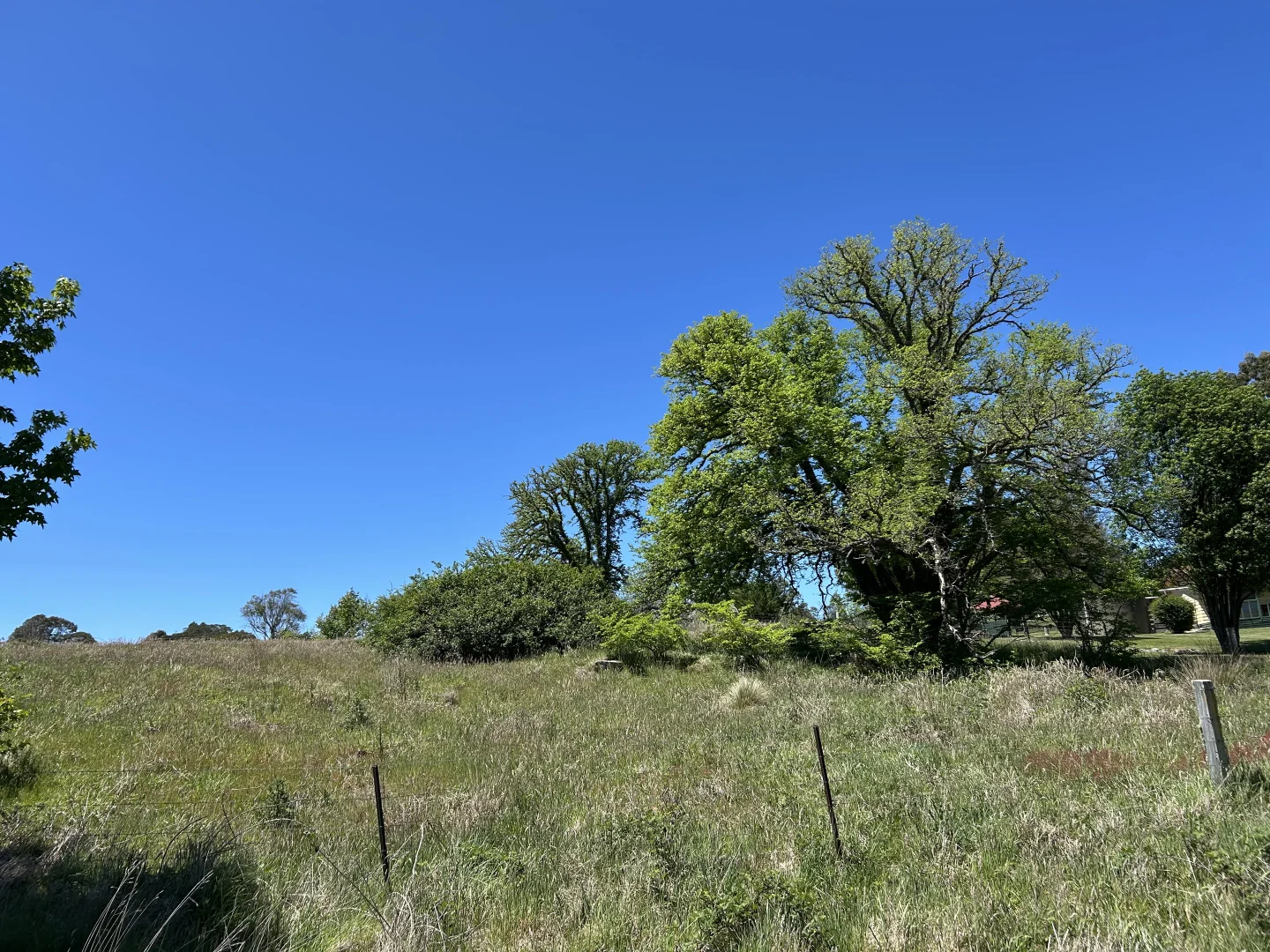 Additional image 12 of 1202 Majors Creek Road, Majors Creek NSW 2622