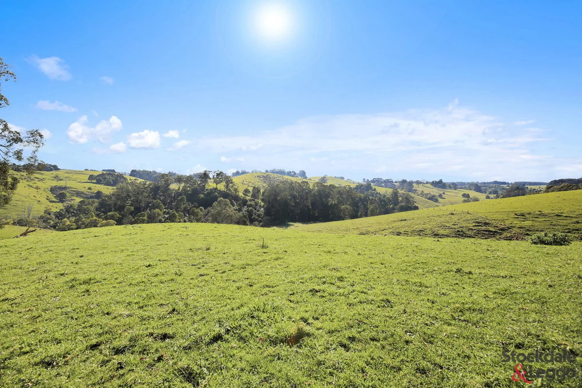 Additional image 9 of 515 Clear Creek Road, Mirboo VIC 3871