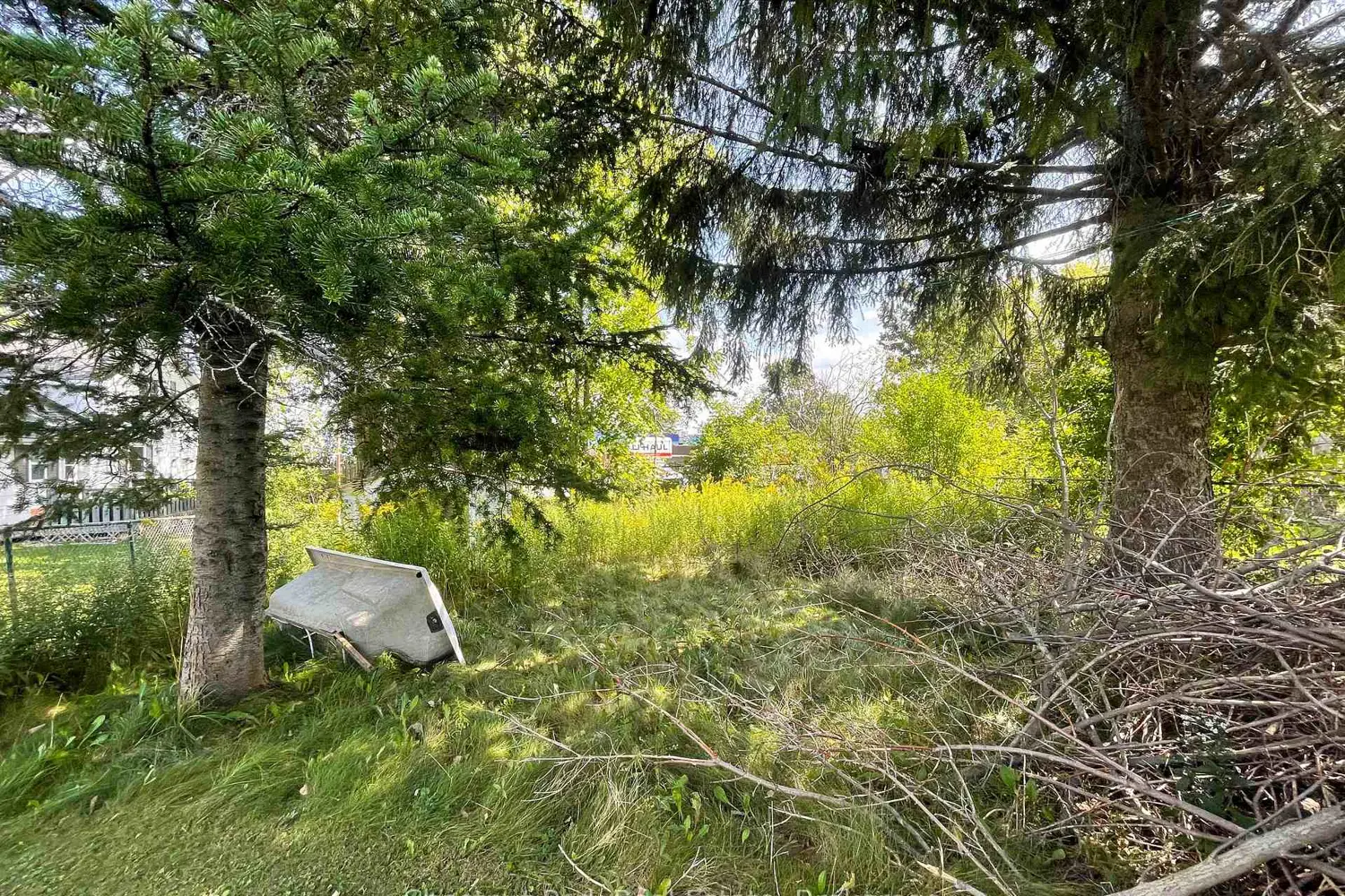 Additional image 17 of 383 Thompson Street