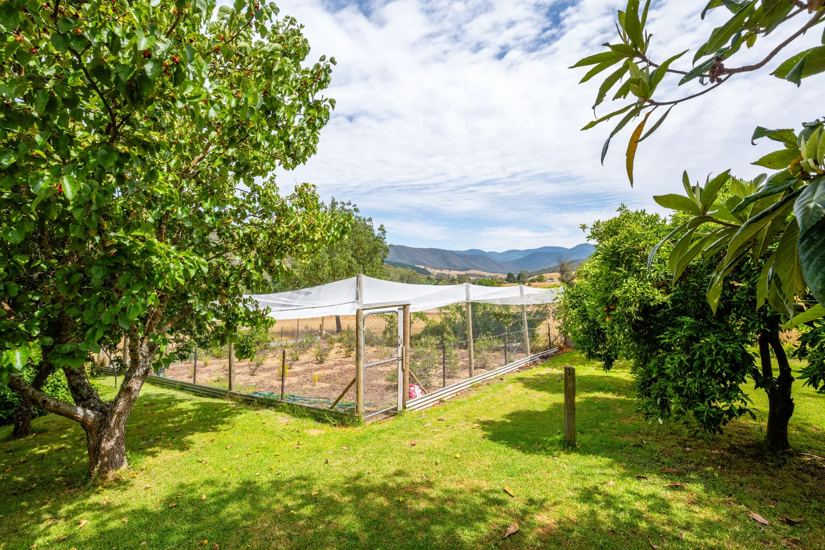 Additional image 36 of 585 Kancoona South Rd, Kancoona VIC 3691