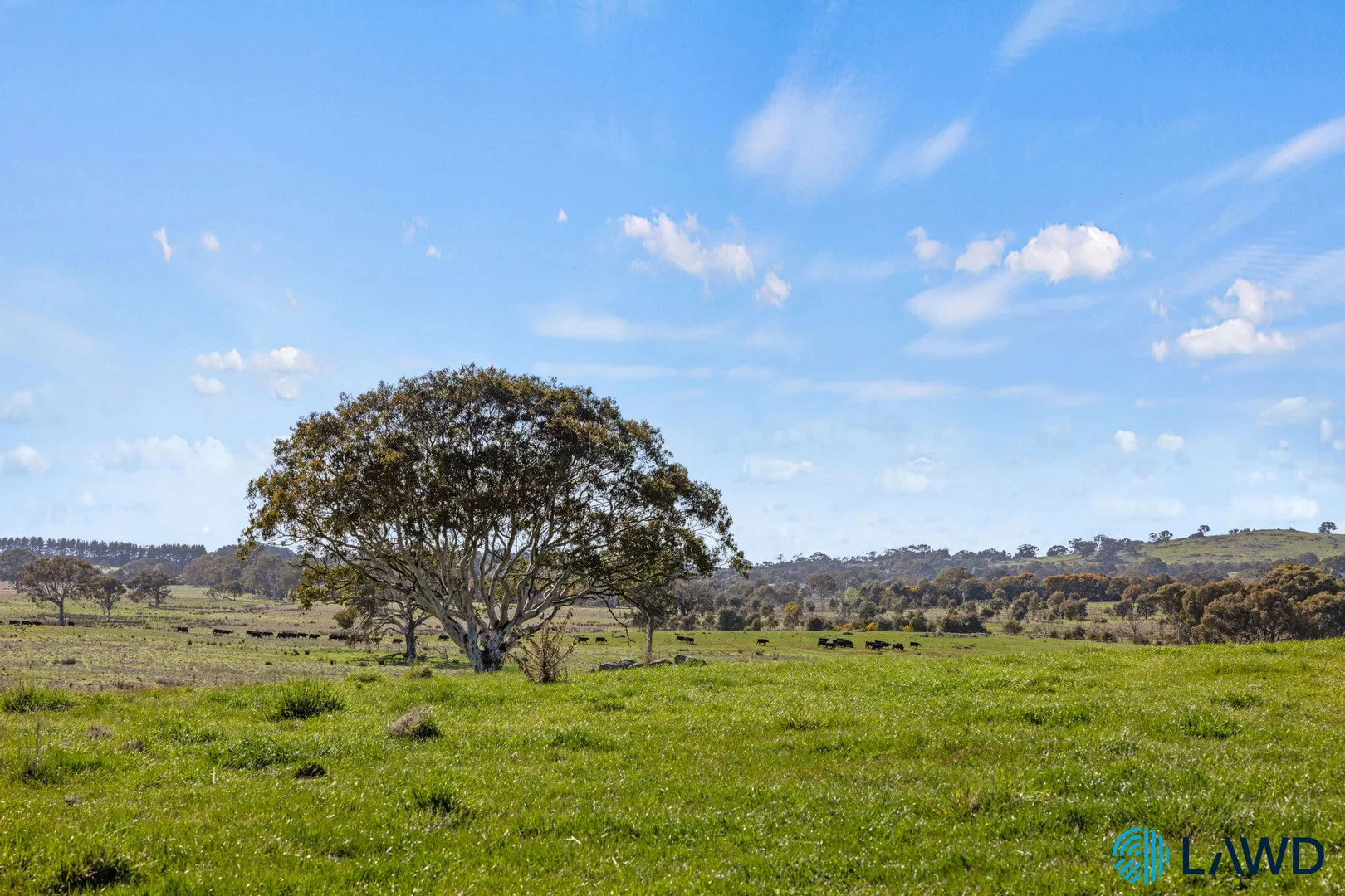 Additional image 7 of 1830 Wargeila Road, Yass NSW 2582
