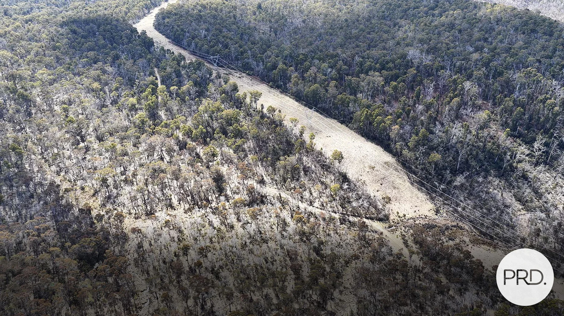 Additional image 5 of Lot 17 East Bago Powerline Road, Tumbarumba NSW 2653