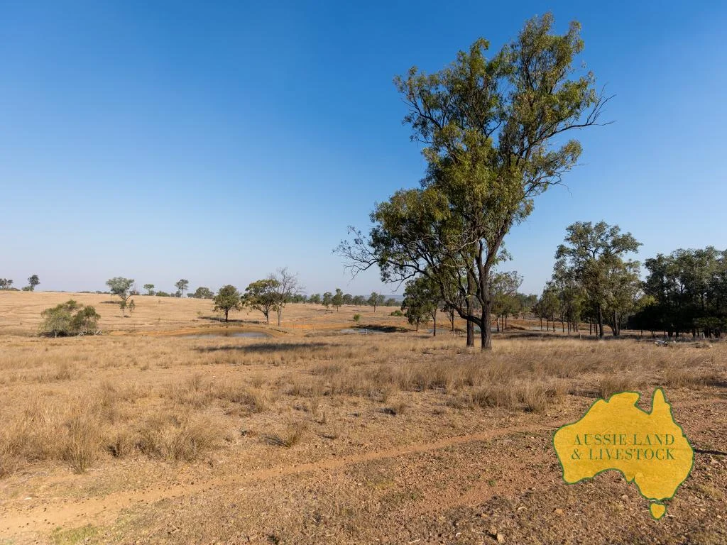 Additional image 44 of 110 BENHAMS ROAD, Mundubbera QLD 4626