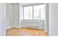 Additional image 28 of 180 Riverside Blvd Apt 316, New York, NY, 10069