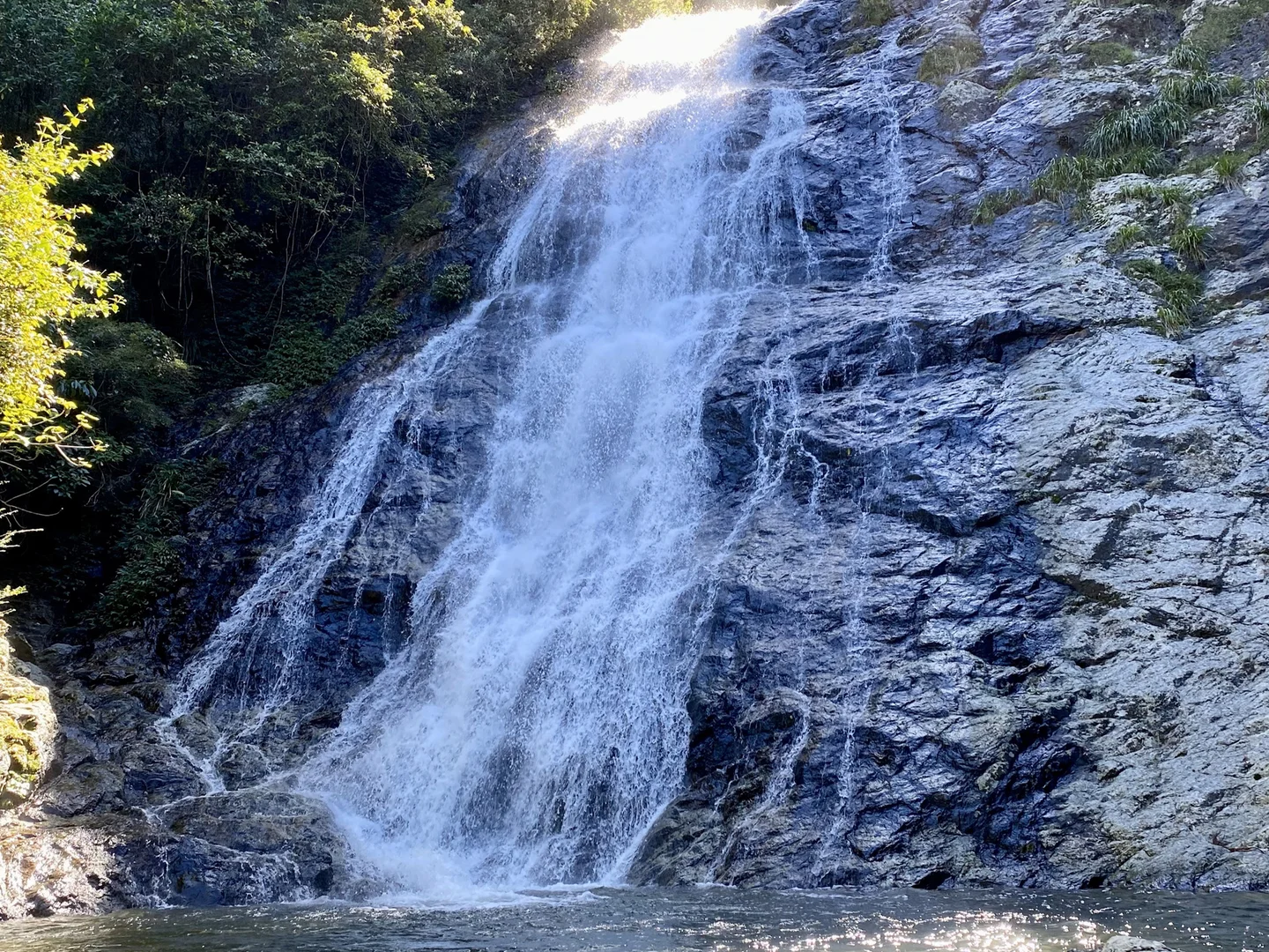 Additional image 34 of 650 Darkwood Road, Thora NSW 2454