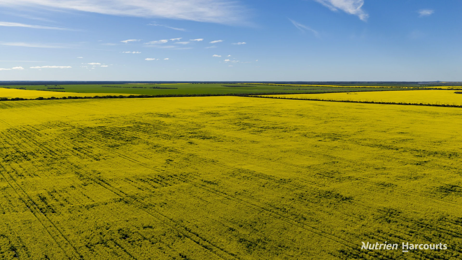 Additional image 19 of . Kendall Road, Scaddan WA 6447