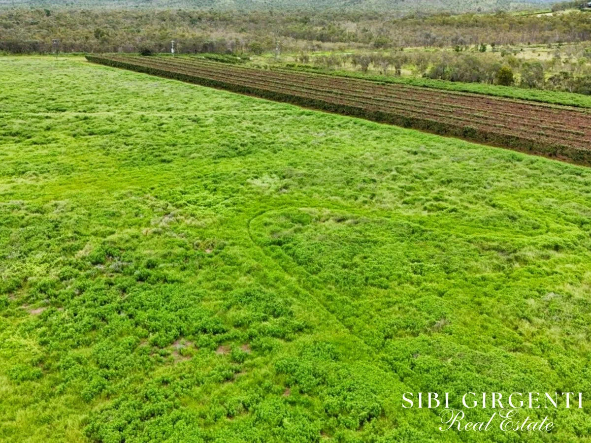 Additional image 28 of 994 Leafgold Weir Road, Dimbulah QLD 4872