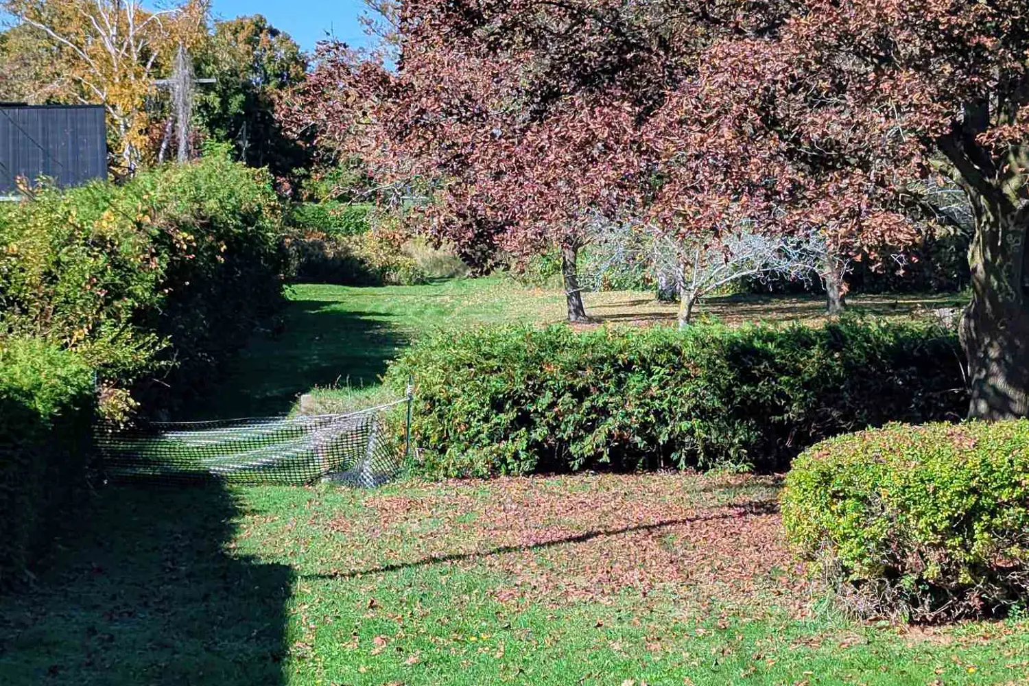 Additional image 4 of 1178 Queen Street