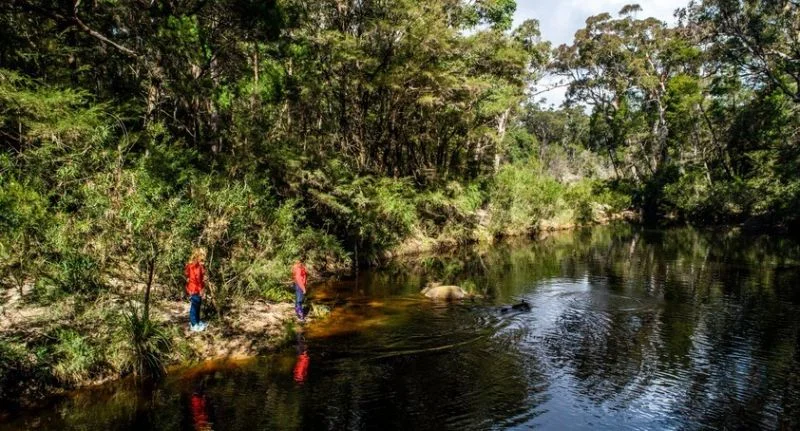 Additional image 32 of 224 Wallaroo Range Road, Willsons Downfall NSW 2372