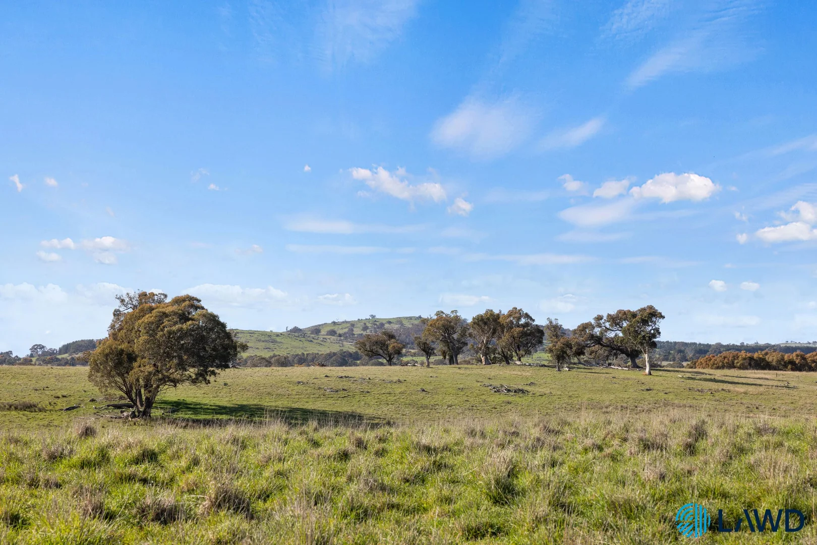 Additional image 11 of 1830 Wargeila Road, Yass NSW 2582