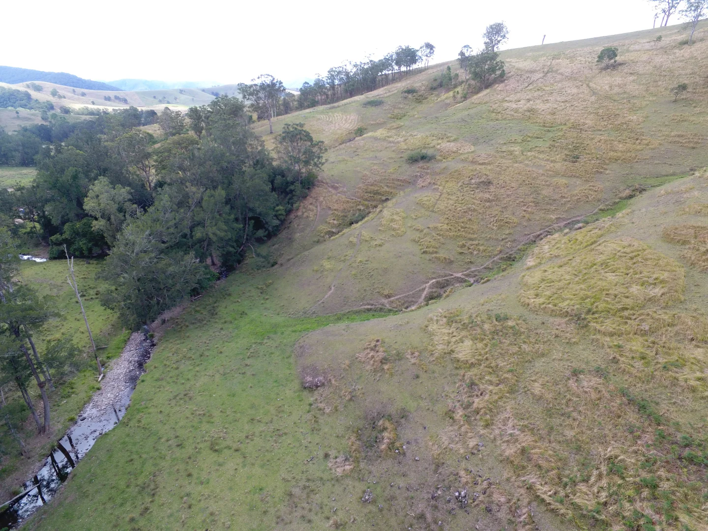 Additional image 10 of 343 Berrico Creek Road, Gloucester NSW 2422