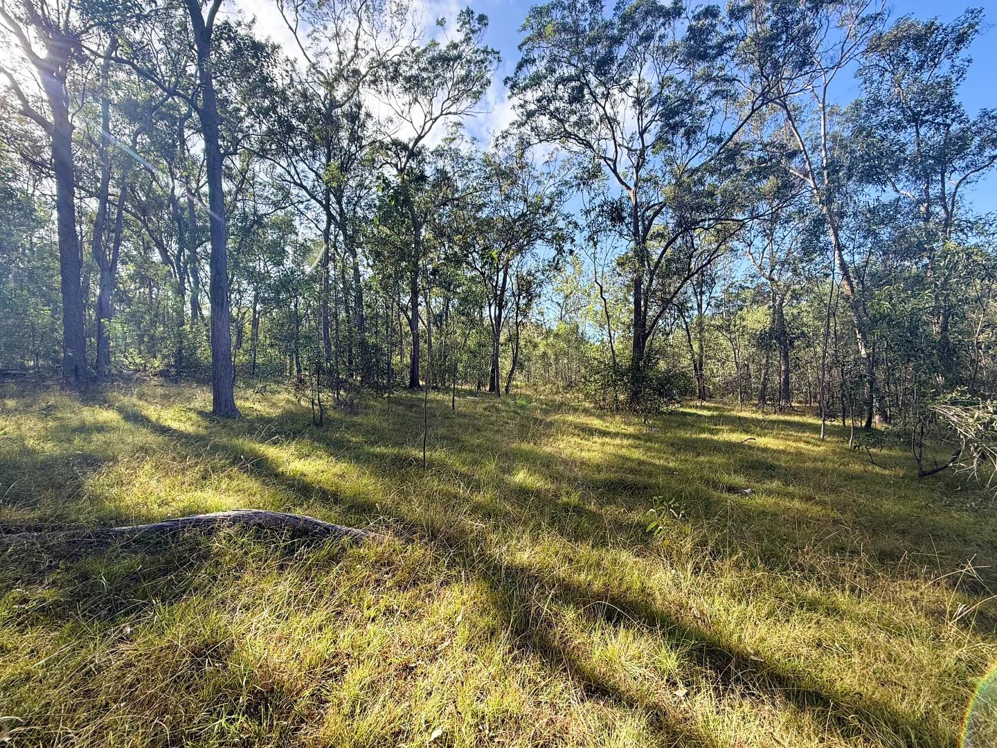 Additional image 3 of Lot 10/931 Nearum Road, Nearum QLD 4671