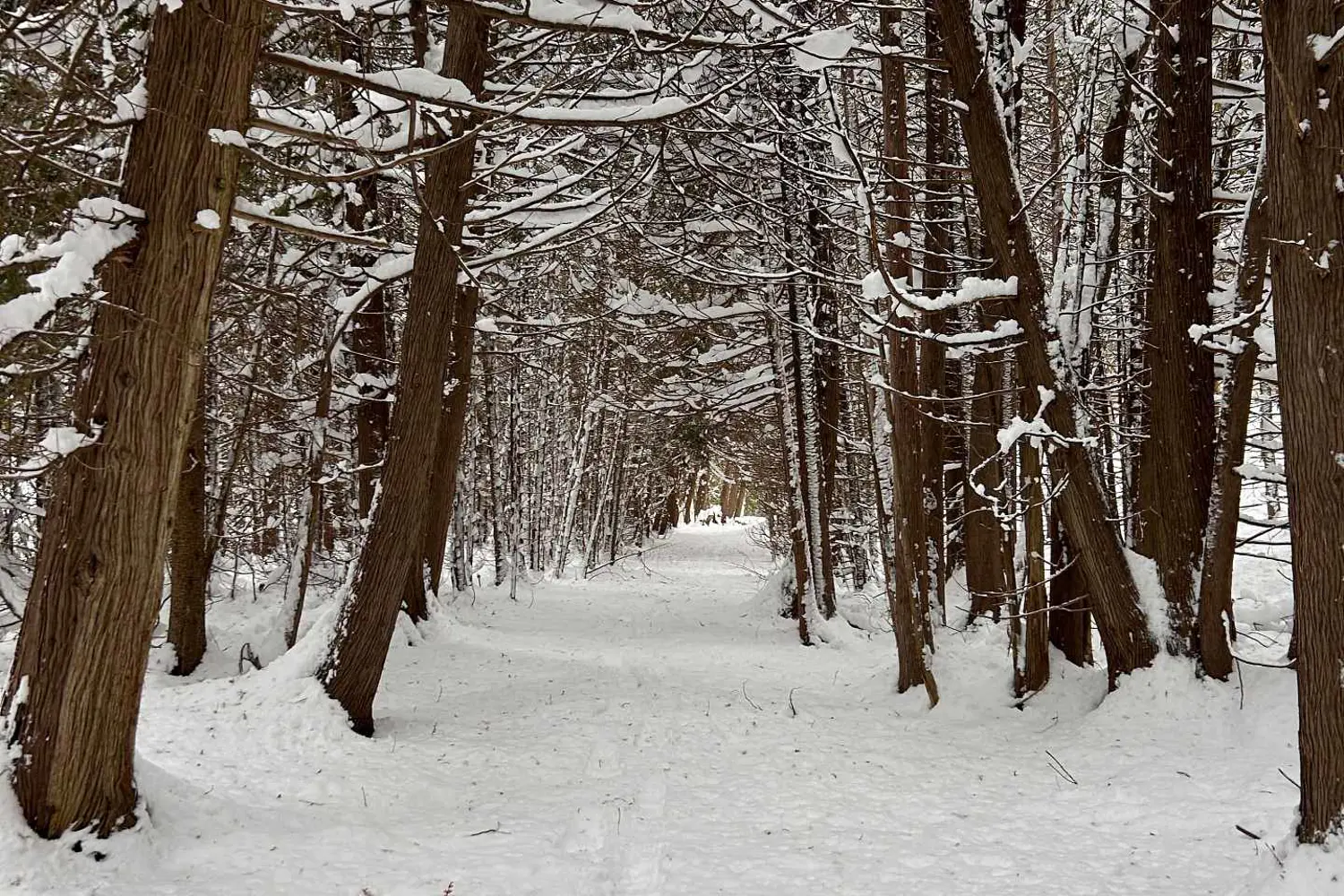 Additional image 11 of 403288 Grey Road 4