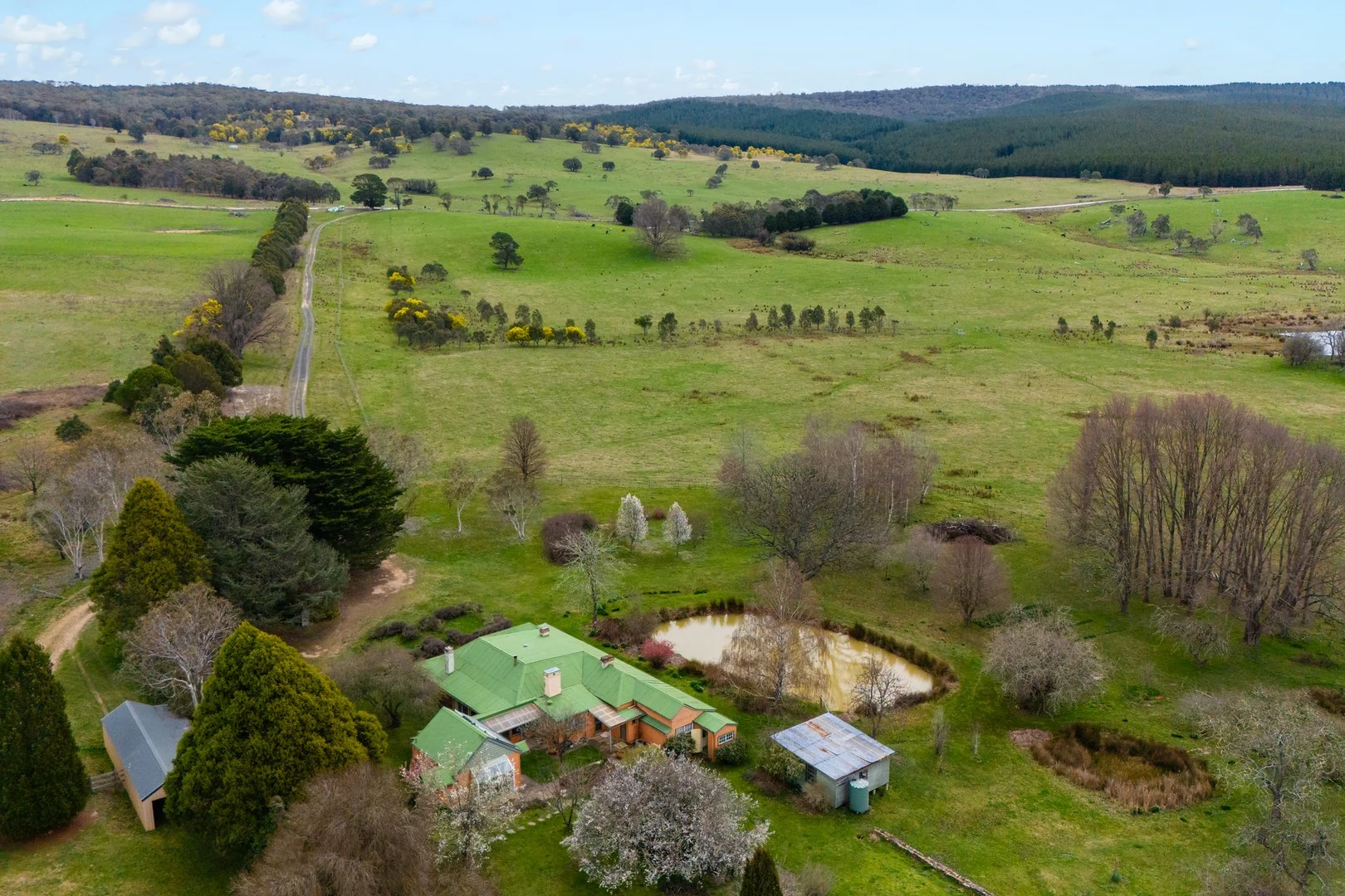 171 Big Flat Road, Bombala NSW 2632