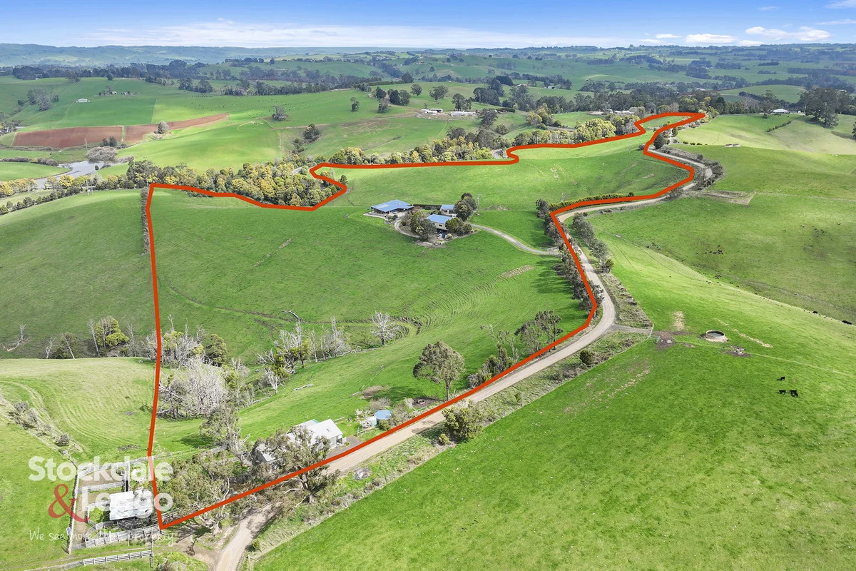 Additional image 4 of 156 Sheens Road, Mirboo North VIC 3871