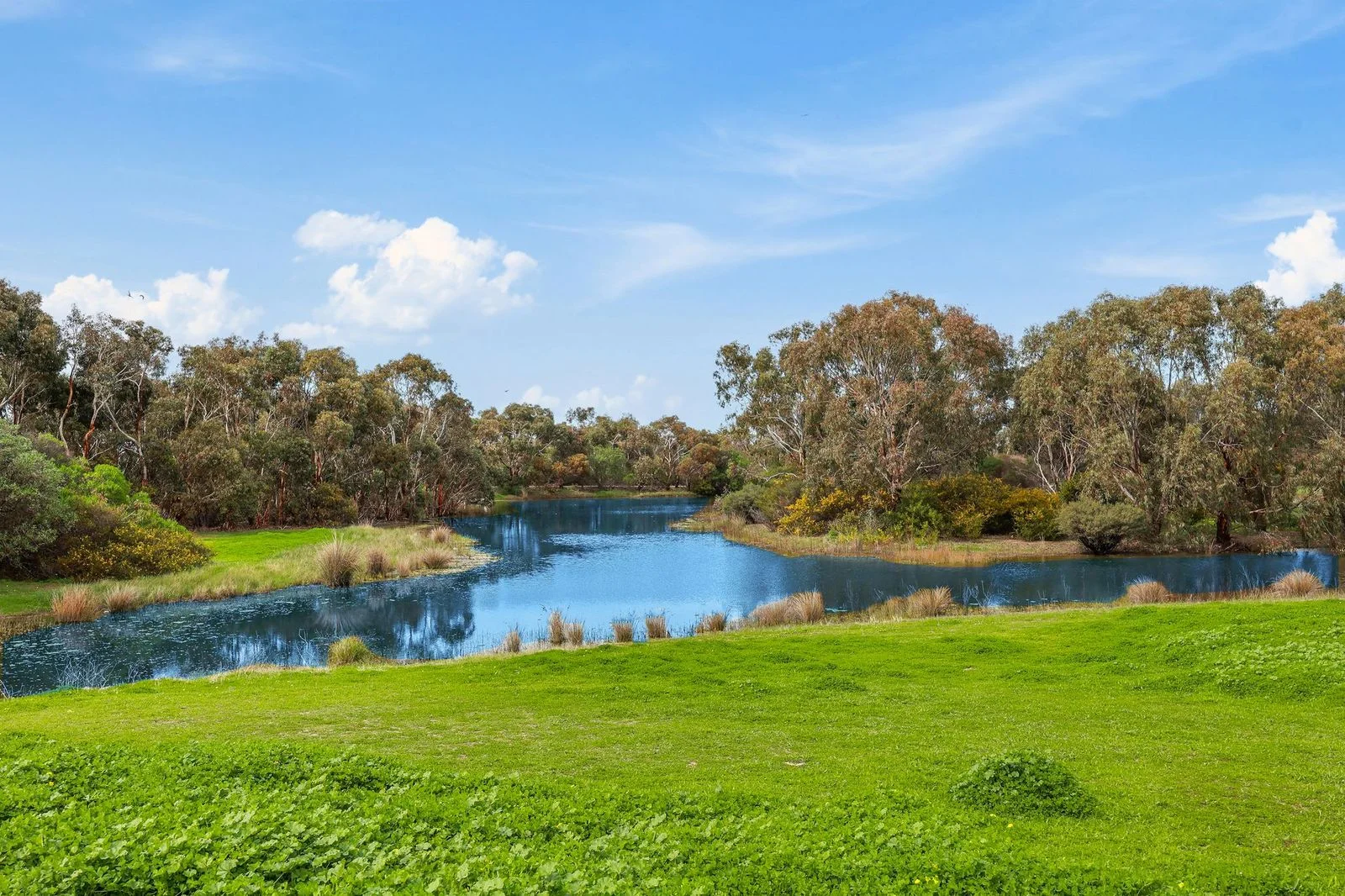 Additional image 19 of 14 Sun Orchid Drive, Chiton SA 5211