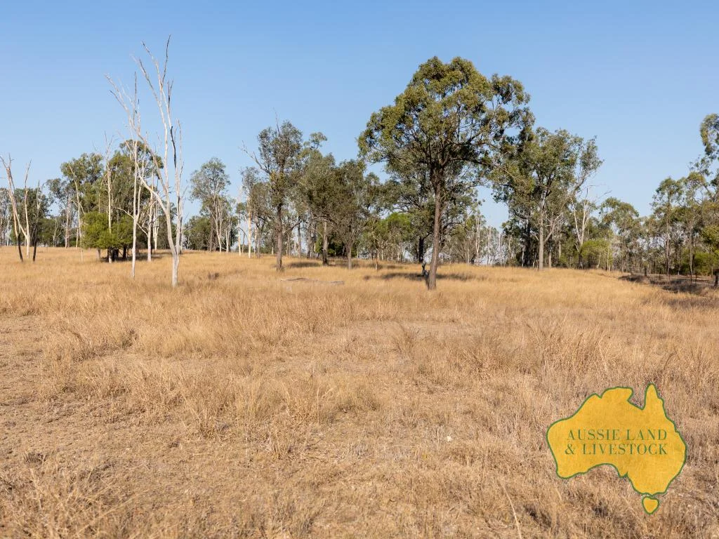 Additional image 21 of 110 BENHAMS ROAD, Mundubbera QLD 4626